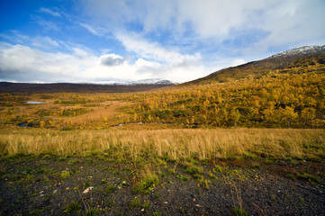 nordic landscape