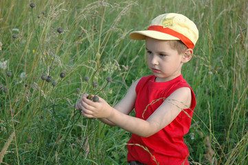 child  breaks the grass