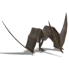 Dinosaur Pteranodon © Ralf Kraft