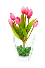 Colourful tulips isolated on the white background