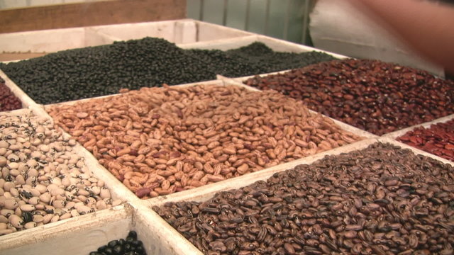Venta de semillas