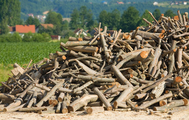 Bunch of Logs