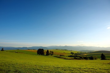 Green meadows blue sky
