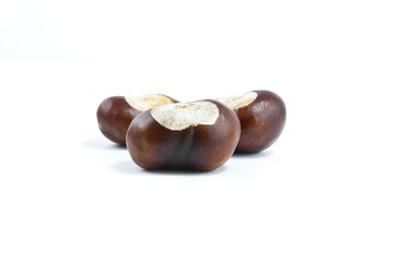 conkers