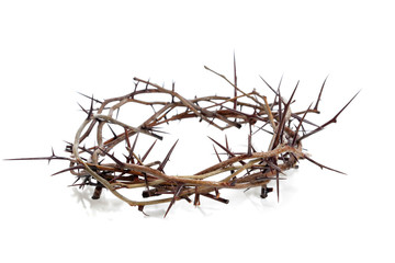 Crown of thorns on a white background