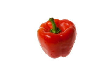 Red Bell Pepper