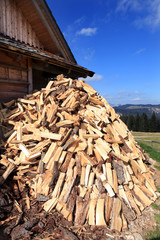 Holzscheite - bilets of wood