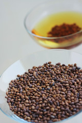 fenugreek