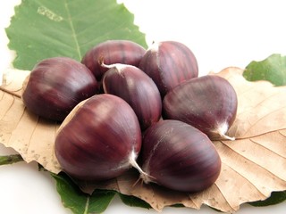 chestnuts