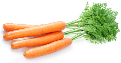 Carrot on a white background
