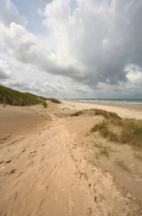 Dutch Dunes in Autumn
