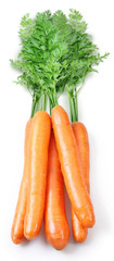 Carrots on a white background