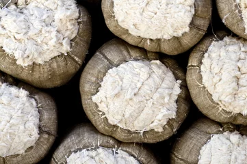 Deurstickers cotton © Andreas Wolf