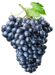 Cluster of grapes on a white background