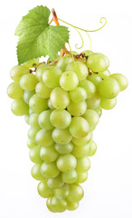 Grape in a white background