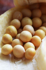 soya bean