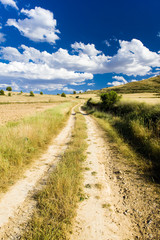 Fototapeta na wymiar landscape with path, Soria Province, Castile and Leon, Spain