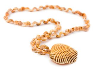 Necklace made of sea shell