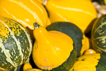 Pumpkins