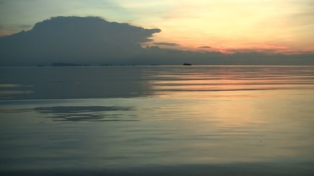 buccolique