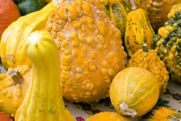 Sagra della zucca di Piozzo (Cn)