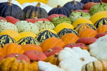 Sagra della zucca di Piozzo (Cn)