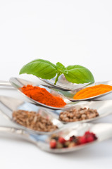 Spice