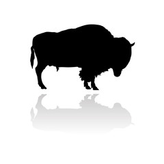 vector bison silhouette