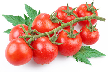 Tomatoes, object on a white background