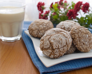 Chocolate сookies and milk
