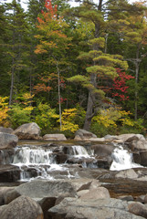 Peaceful waterfalls