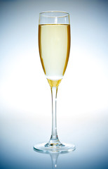 Glass of wine