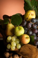 natura morta con frutta autunnale