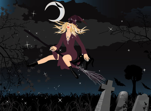 Beautiful Witch on Broom with Moon, Black Cat and Stars
