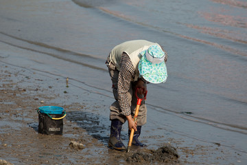 muschelsammler © Angelika Bentin