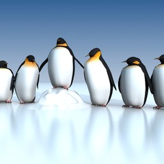 Fun penguins - obrazy, fototapety, plakaty
