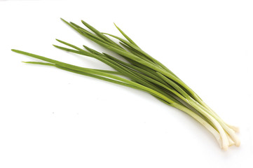 Fototapeta premium fresh chives