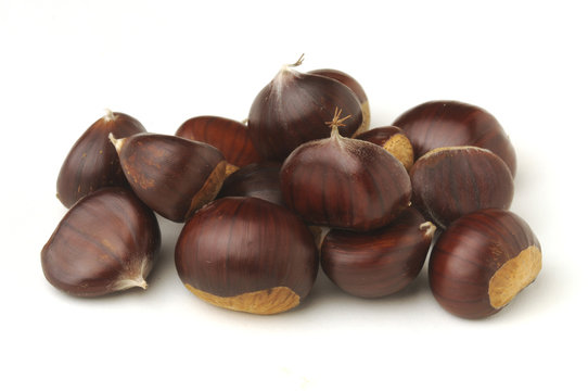 Castagne su fondo bianco