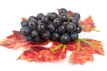 Grape