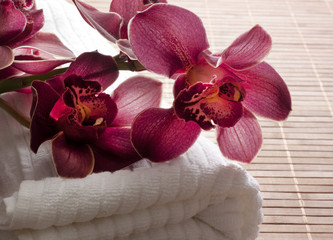 orchidée fuchsia sur serviette beige