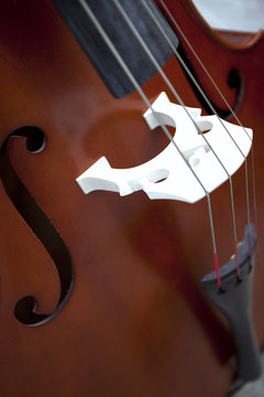 violoncelle