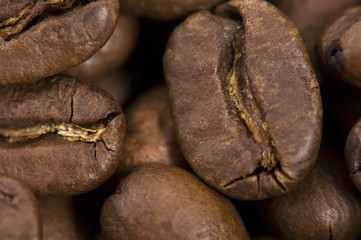 coffe beans