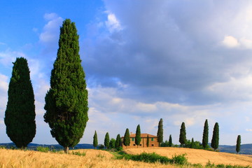 Zypressen mit Haus vor Wolkenhimmel,Toskana,Italien - 17498089