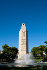 Fototapeta premium Palma