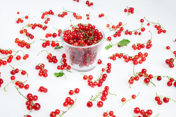 redcurrants on white background
