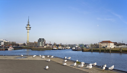 Fototapeta na wymiar Bremerhaven z morza mewy
