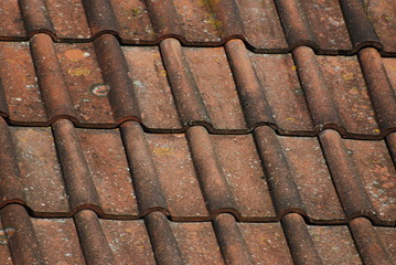 Roof Tiles 2