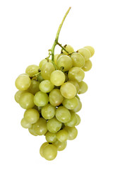 grapes