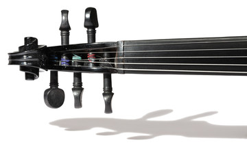 5-string black violin