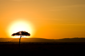 Mara Sunrise II